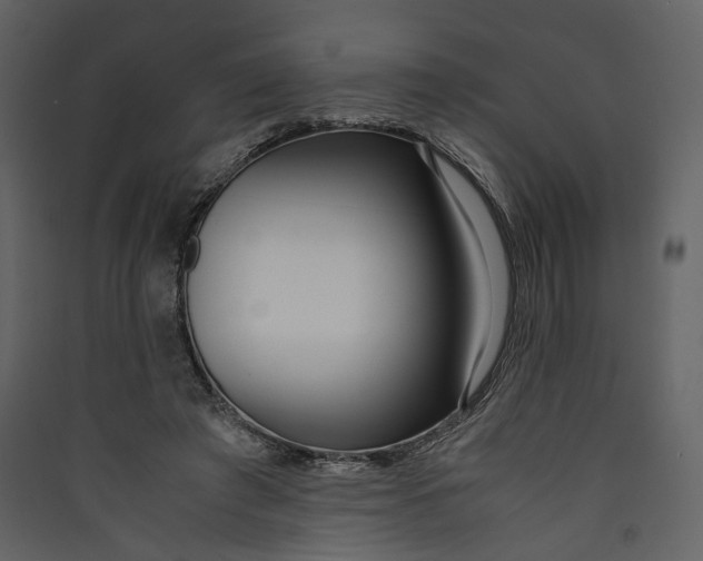 X0000089410401200707131805