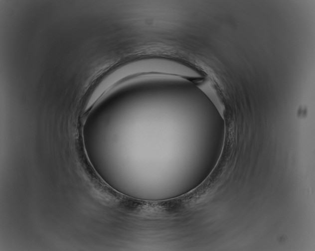 X0000089410403200707131805