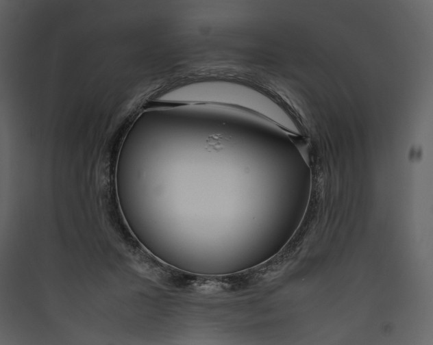 X0000089410407200707131805
