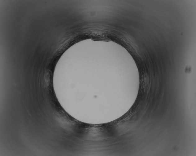 X0000089410412200707131805