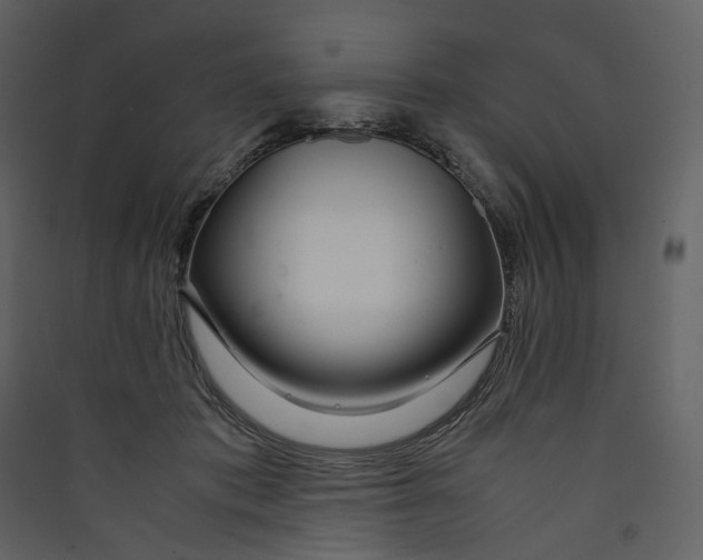 X0000089410413200707131805
