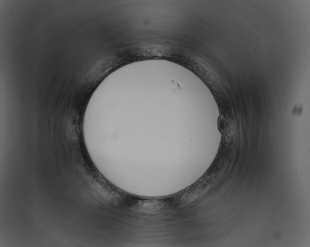 X0000089410414200707131805