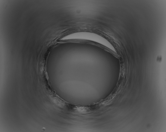 X0000089410417200707131805