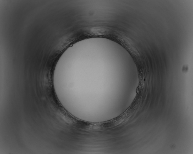 X0000089410418200707131805