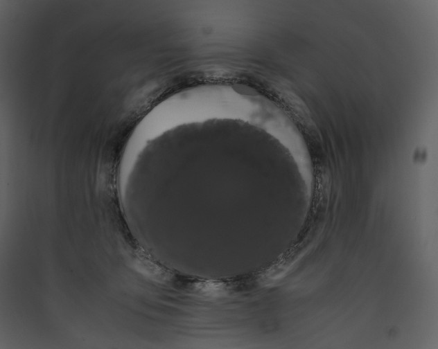 X0000089410419200707131805