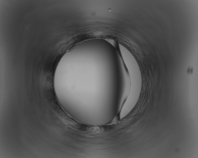 X0000089410421200707131805