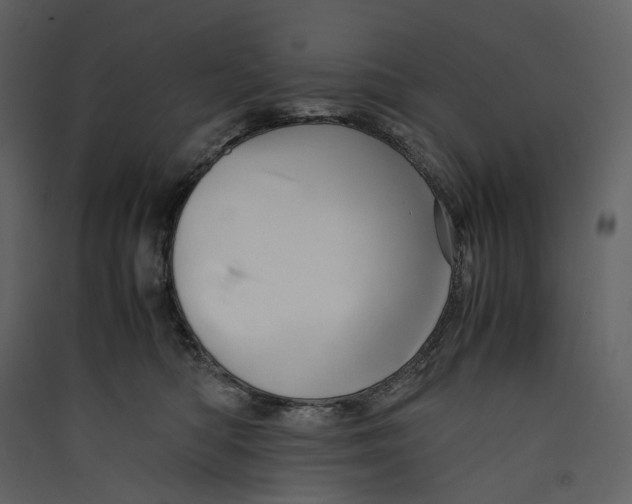 X0000089410422200707131805