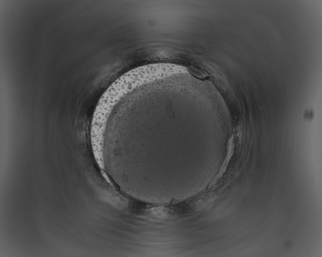 X0000089410423200707131805