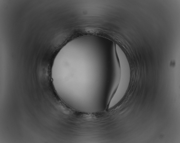 X0000089410424200707131805