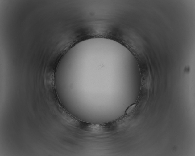 X0000089410425200707131805
