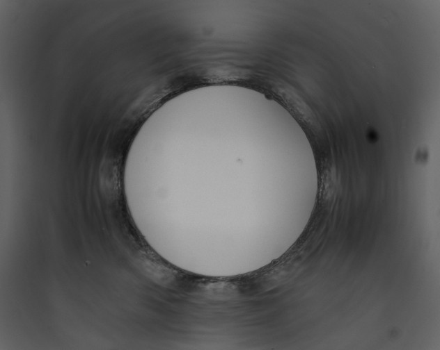 X0000089410426200707131805