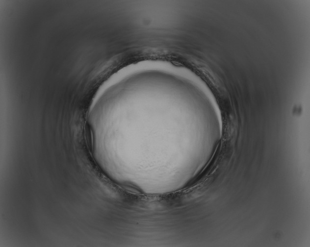 X0000089410427200707131805
