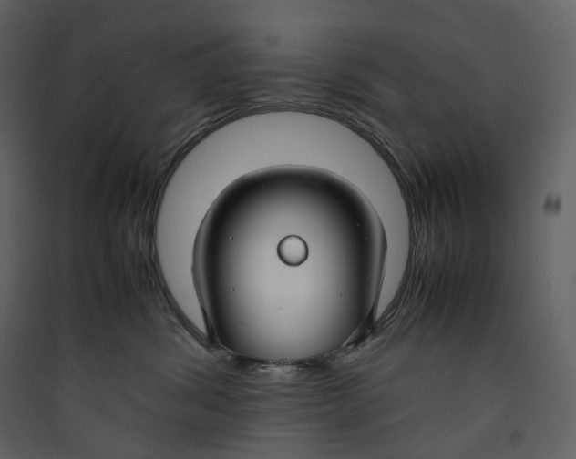 X0000089410428200707131805