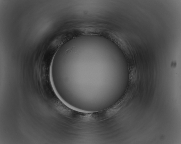 X0000089410430200707131805