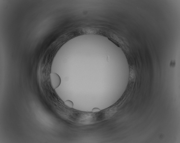 X0000089410431200707131805