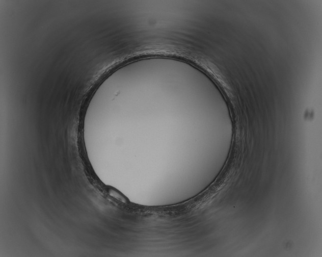 X0000089410434200707131804