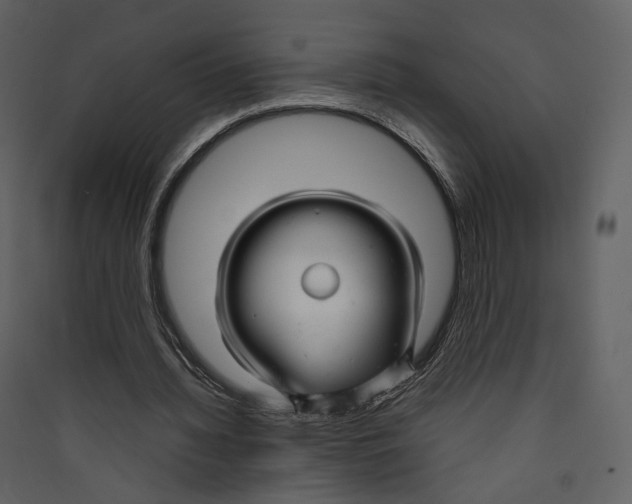 X0000089410436200707131804
