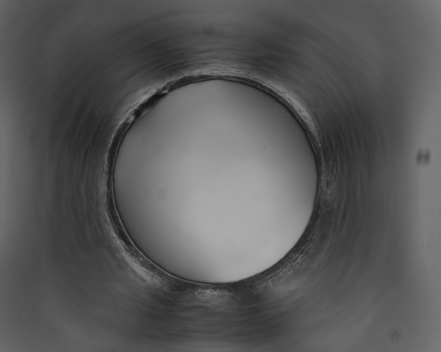 X0000089410437200707131804