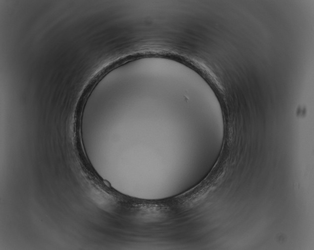 X0000089410439200707131804