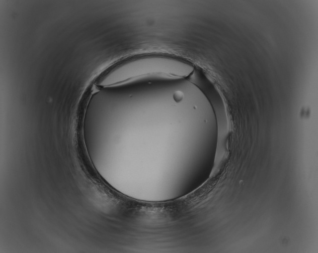 X0000089410440200707131804
