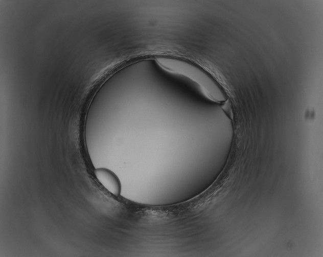 X0000089410442200707131804