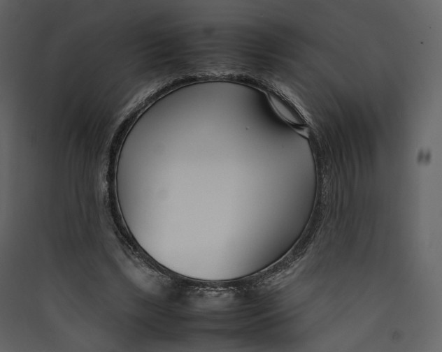 X0000089410443200707131804