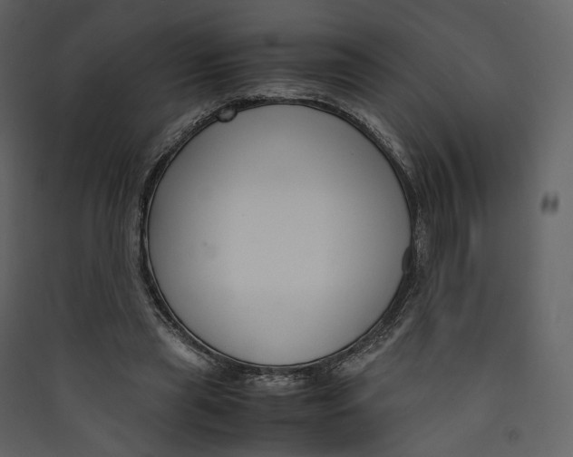 X0000089410445200707131804