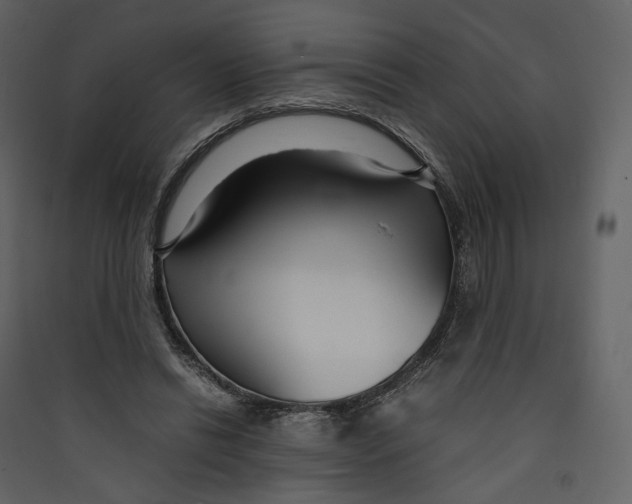 X0000089410446200707131804