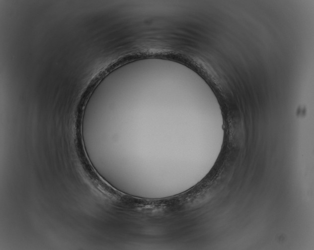 X0000089410447200707131804