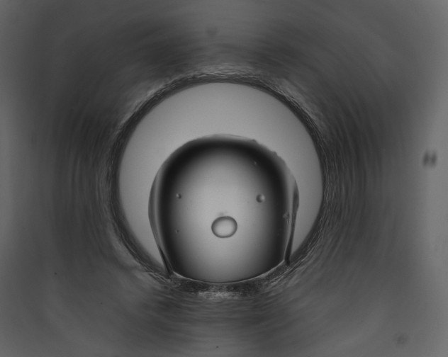 X0000089410448200707131804