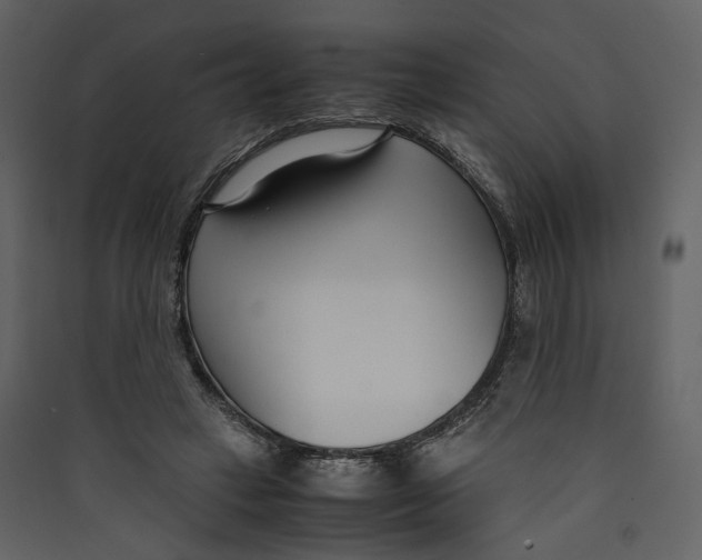 X0000089410449200707131804
