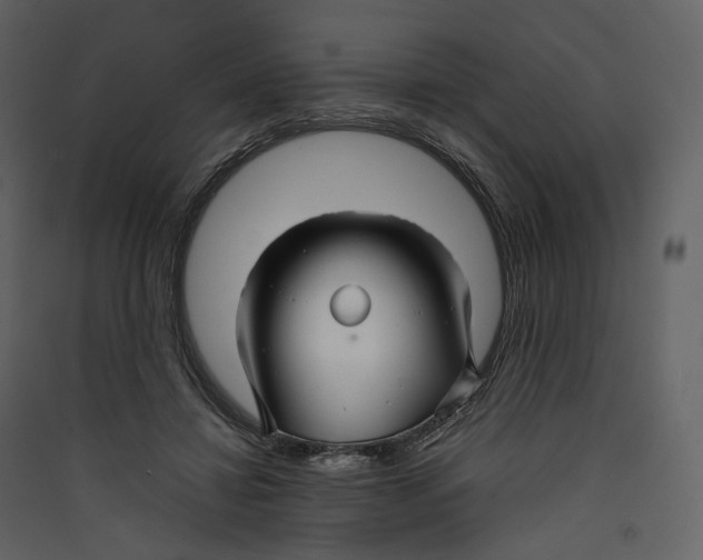 X0000089410452200707131804