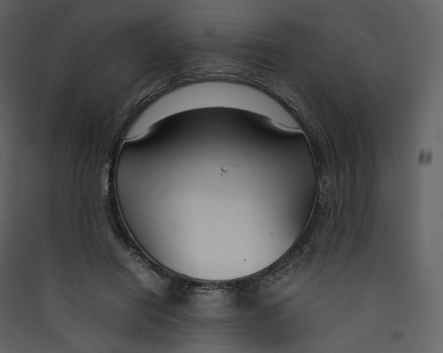 X0000089410454200707131804