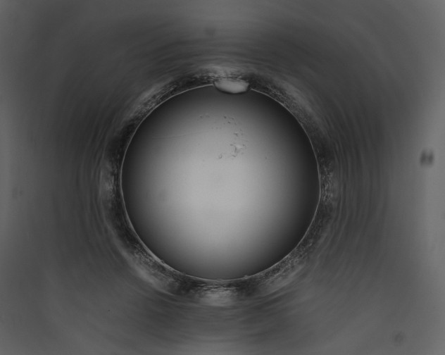 X0000089410456200707131804