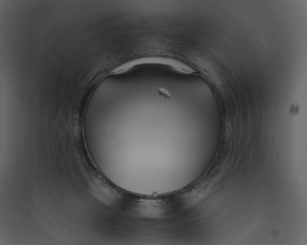 X0000089410457200707131804