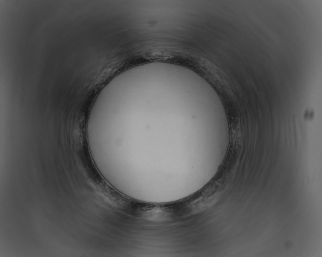 X0000089410460200707131804
