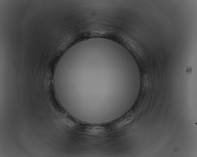 X0000089410463200707131804