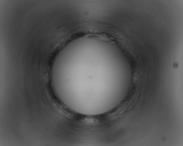 X0000089410464200707131804
