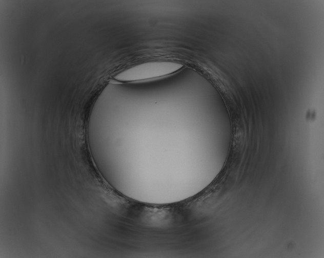 X0000089410469200707131804
