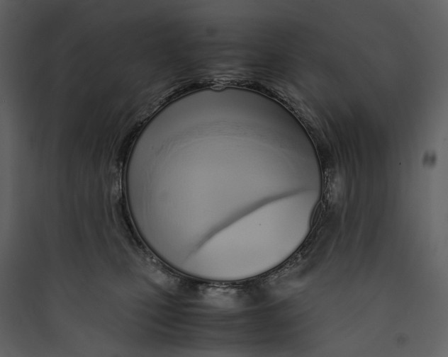 X0000089410471200707131804