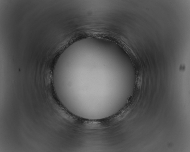 X0000089410476200707131804