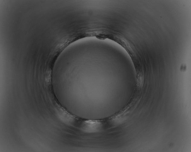 X0000089410477200707131804