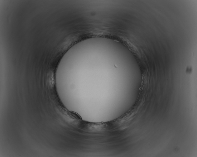X0000089410479200707131804