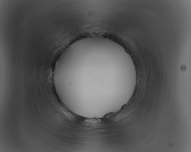 X0000089410480200707131804