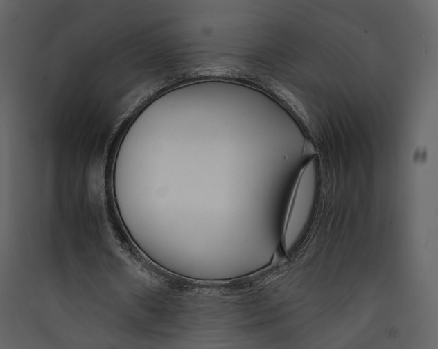 X0000089410482200707131804