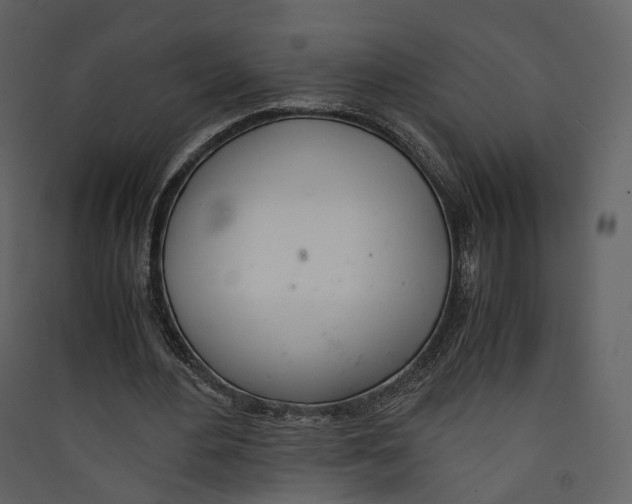 X0000089410484200707131804