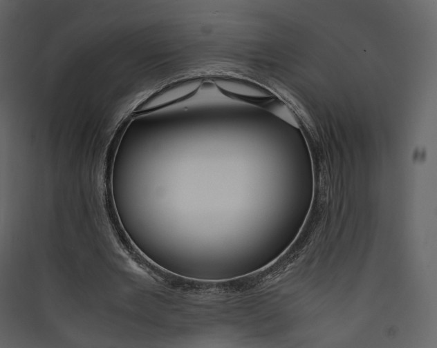 X0000089410485200707131804