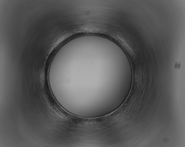 X0000089410488200707131804