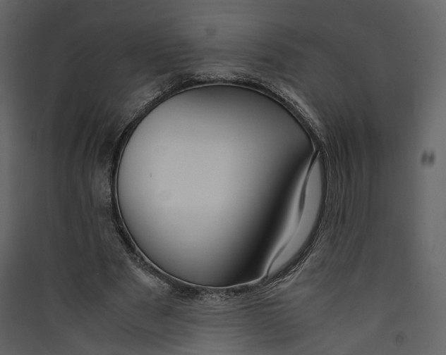 X0000089410489200707131804