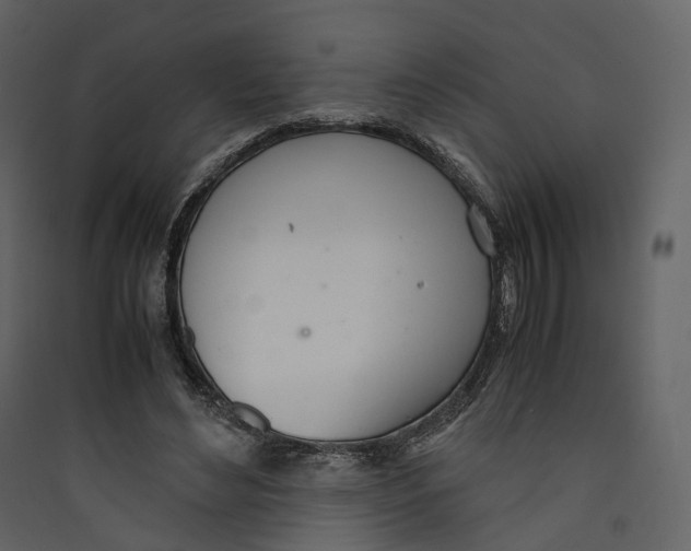 X0000089410492200707131804